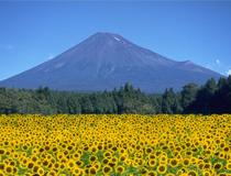 富士山